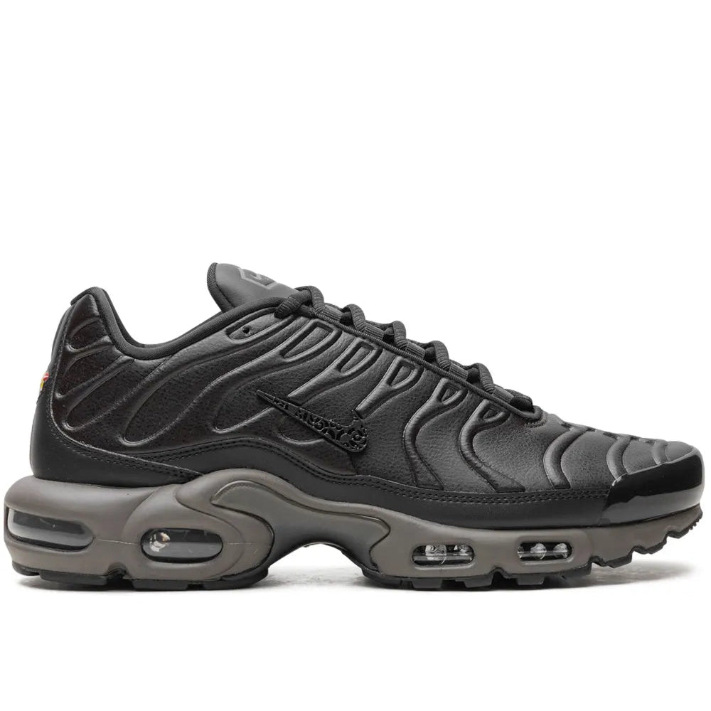Air Max Plus (Black, Dark Grey)