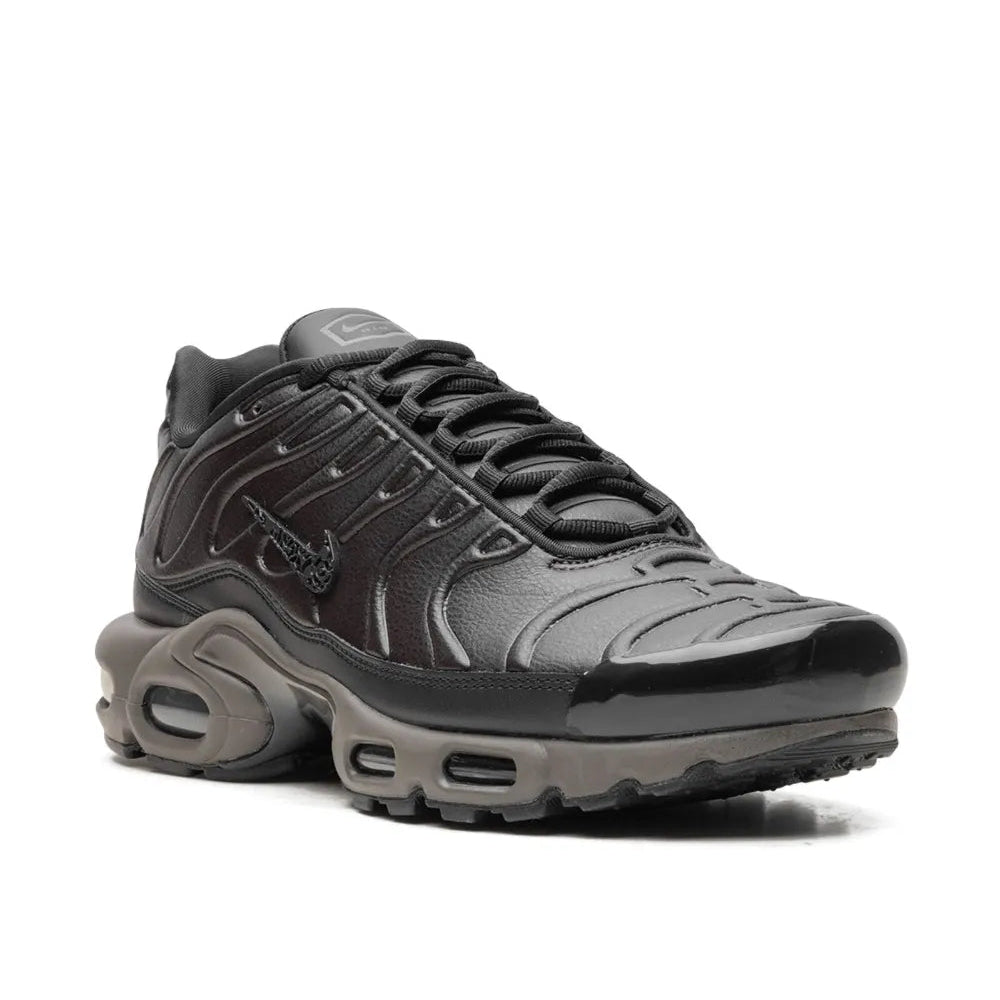 Air Max Plus (Black, Dark Grey)