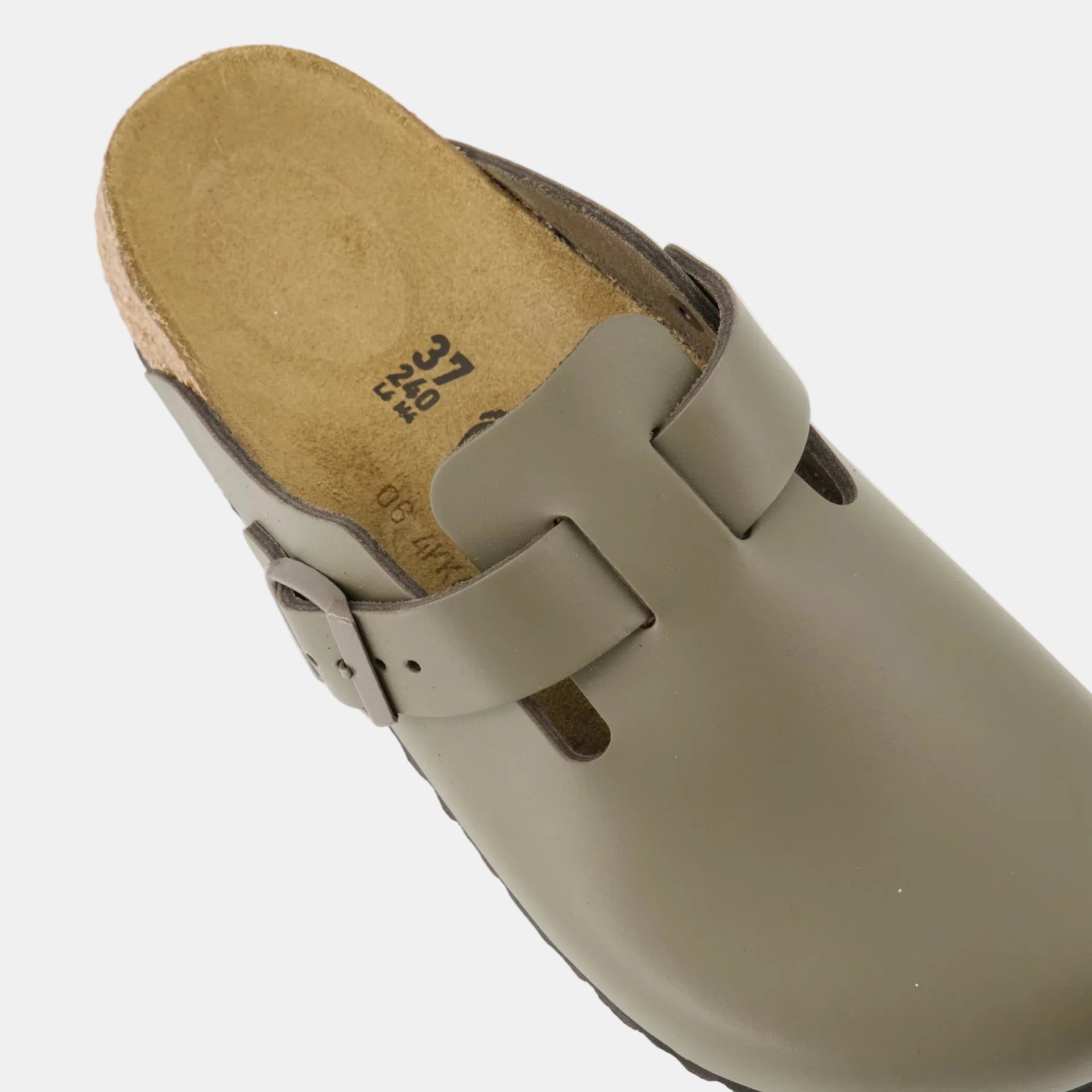 Birken Kaki