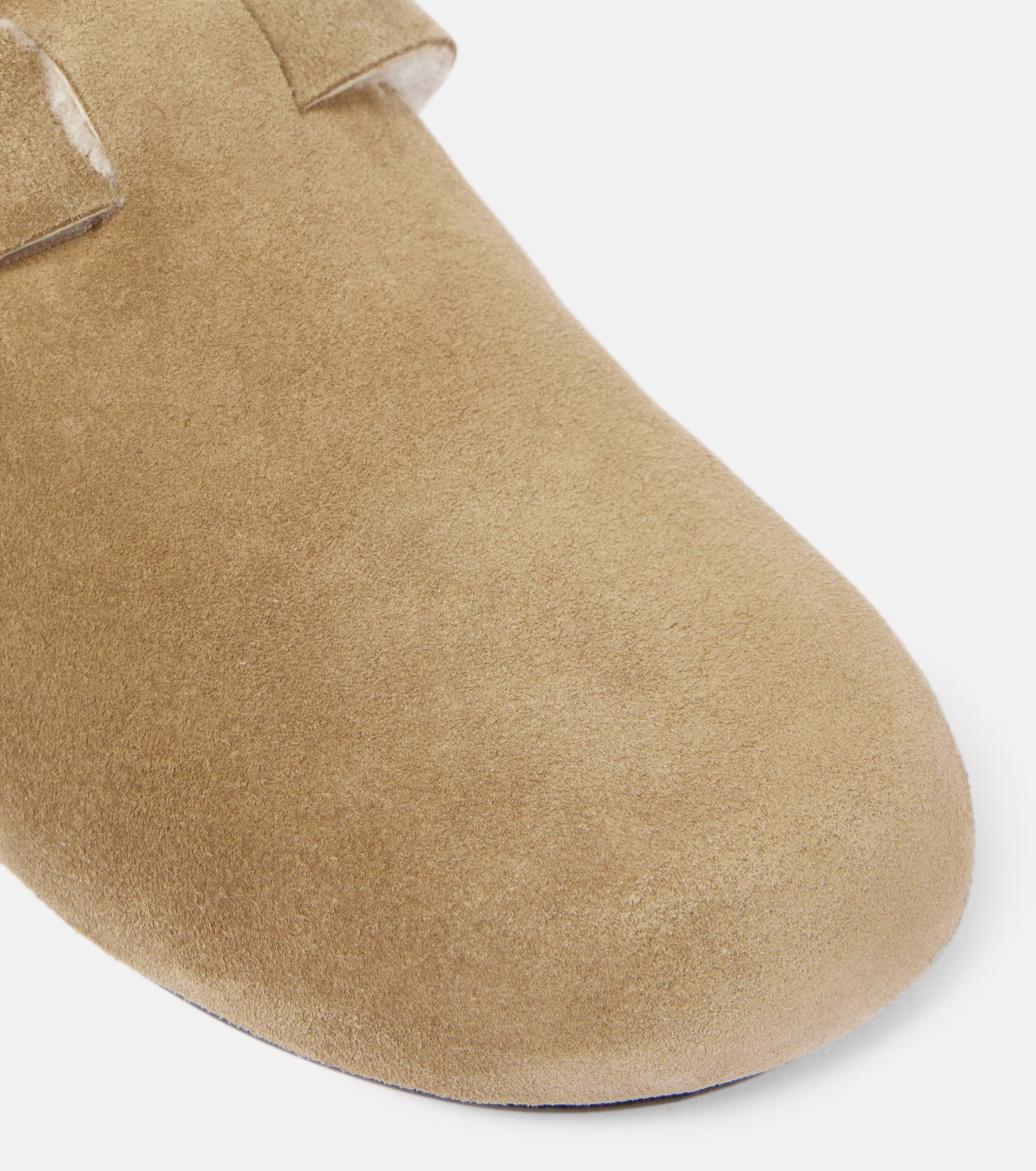 Birken Camel